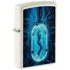 Зажигалка ZIPPO WOMAN IN TUBE 48520